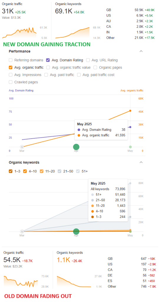 domain migration seo case study